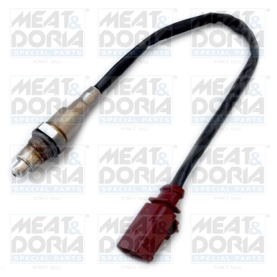 Oxygen Sensor